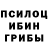 Псилоцибиновые грибы MAGIC MUSHROOMS nickmac nick