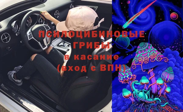 индика Абдулино