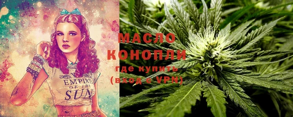 индика Абдулино