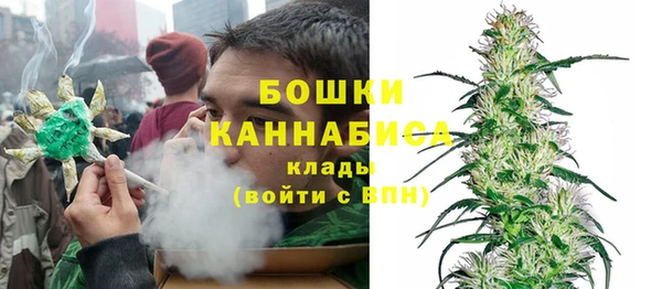 индика Абдулино