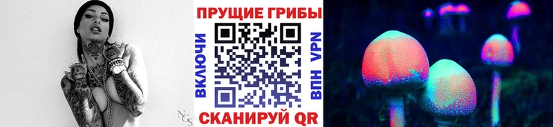 Галлюциногенные грибы Cubensis  Стерлитамак 