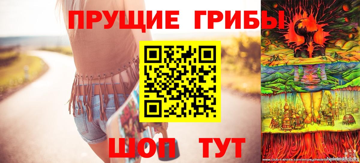 Стерлитамак  Галлюциногенные грибы Psilocybine cubensis  Вход с VPN 