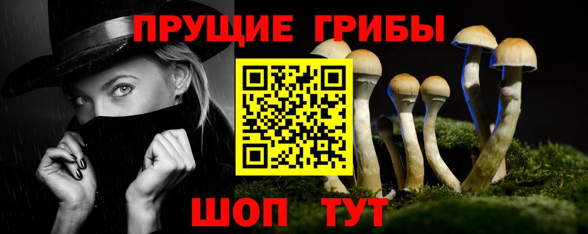 Псилоцибиновые грибы GOLDEN TEACHER Стерлитамак